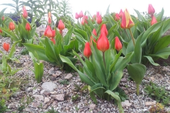 20140401_104833