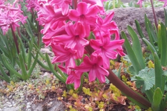 20140401_104850