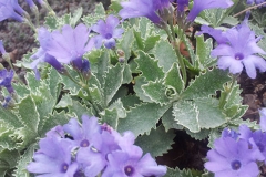 20140401_104929