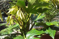 20140516_102910[1]