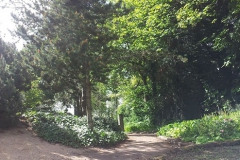 20140516_103011[1]