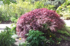 20140516_103052[2]