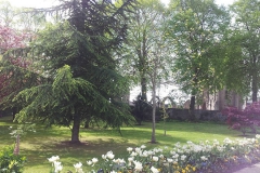 20140516_103423[1]