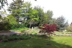 20140516_103519[1]