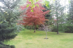 20140516_103556[1]
