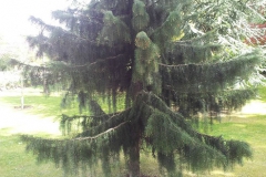 20140516_103628[1]