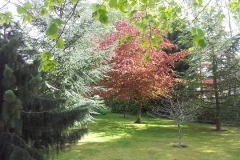 20140516_103637[1]