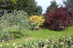 20140516_103844[1]