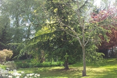 20140516_103857[1]
