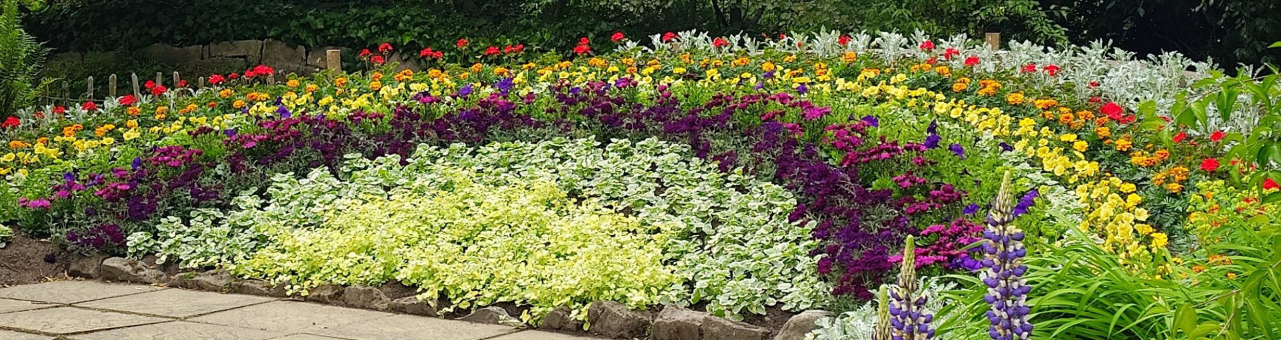 Elgin Biblical Garden