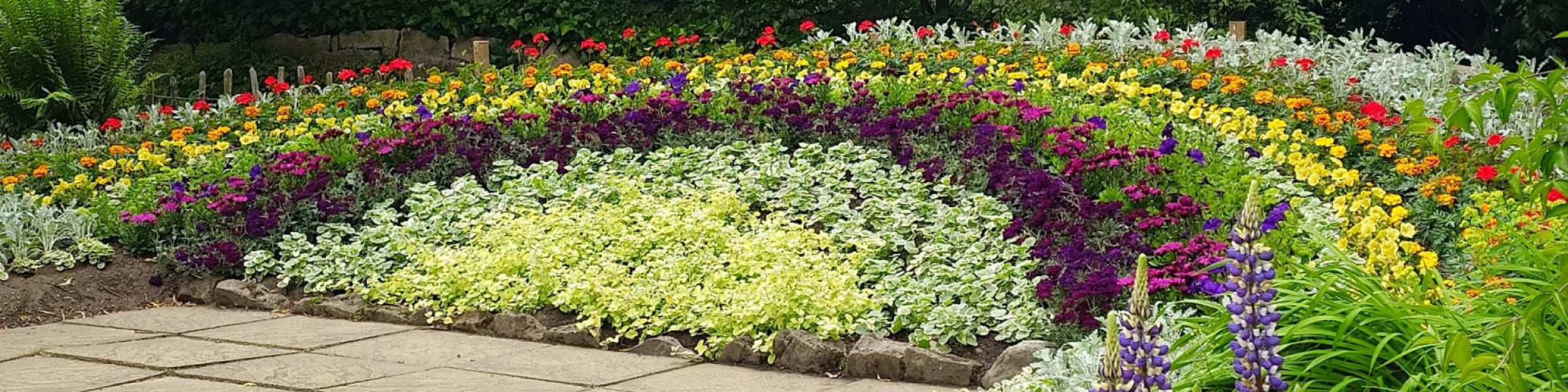 Elgin Biblical Garden